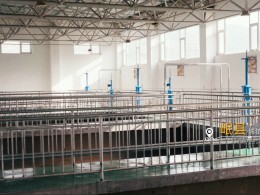 我司承建的呼和浩特盛樂國際機場飛行區場道1段標順利通過竣工驗收